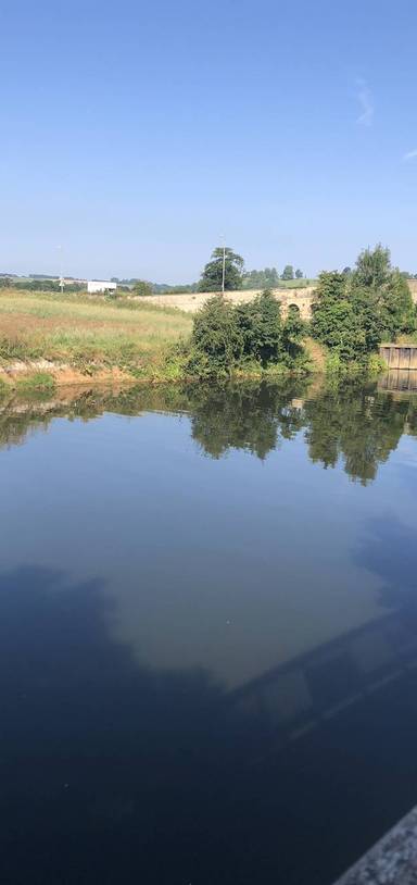 Preview of Newbridge/Twerton to Newton St Loe