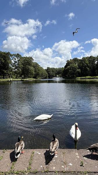 Preview of Newsham Park & Lake Walk