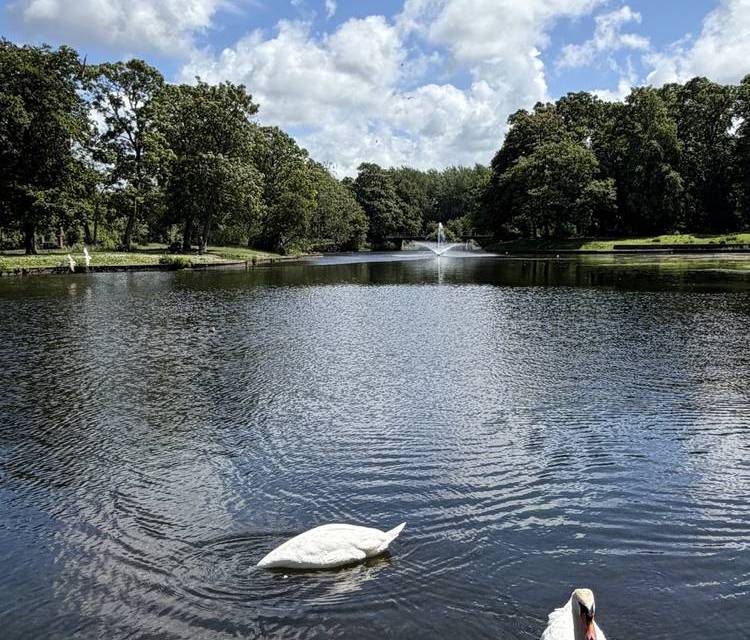 Preview of Newsham Park & Lake Walk