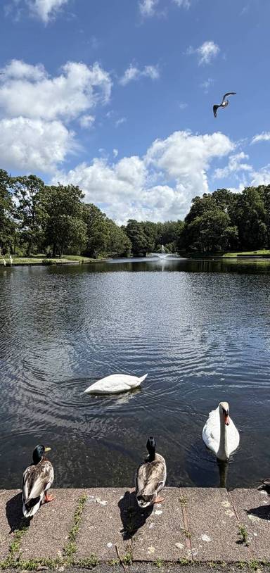 Preview of Newsham Park & Lake Walk