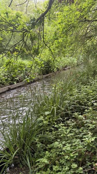 Preview of River Crane Heathrow to Whitton