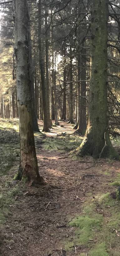 Preview of Beacon Fell Park