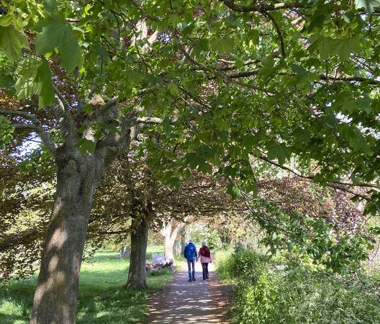 Preview of The Ludwell Valley Walk