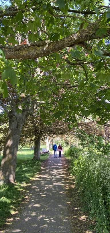Preview of The Ludwell Valley Walk