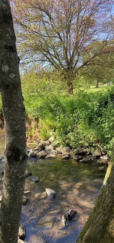 Preview of The Ludwell Valley Walk - Clockwise