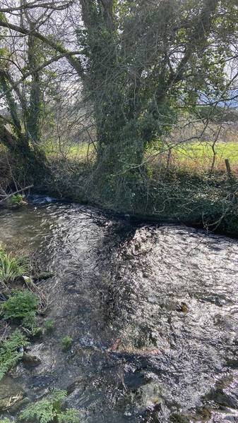 Itchen Navigation Segment 2 of 3 Go Jauntly