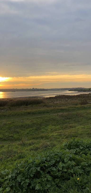 Preview of RSPB Rainham Marshes