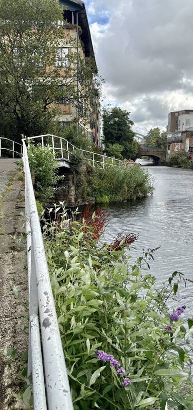 Preview of Angel to Stratford