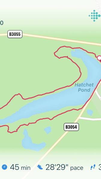Preview of Hatchet Pond