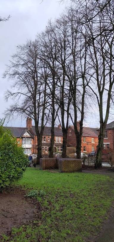 Preview of Spring Gardens in Winter