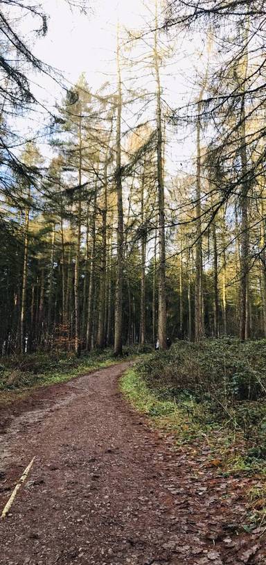 Preview of Calm waters & well-being at Linacre