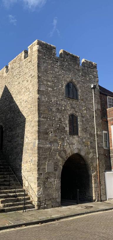 Preview of Walk the Walls