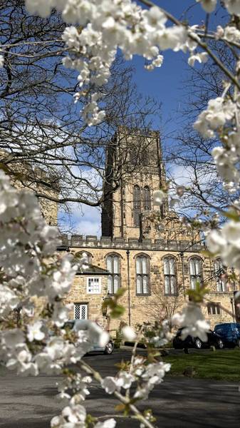 Preview of Durham Blooming Trail