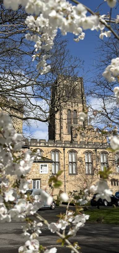 Preview of Durham Blooming Trail