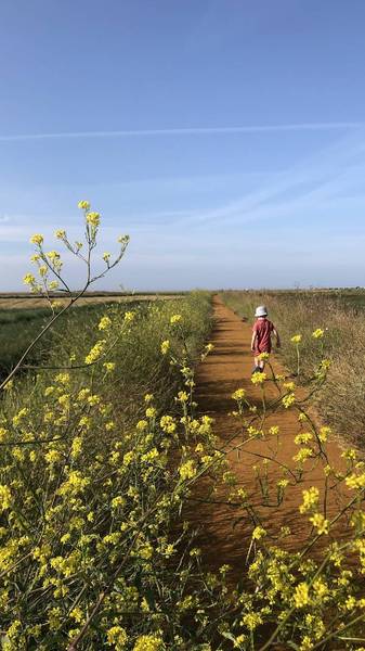 Preview of A jaunt around Cley Nature Reserve 