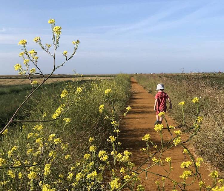 Preview of A jaunt around Cley Nature Reserve