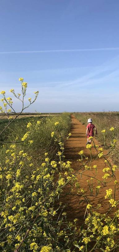 Preview of A jaunt around Cley Nature Reserve 