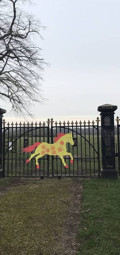 Preview of Beccles Marsh Pony Trail