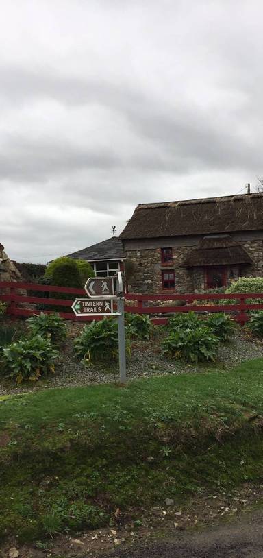 Preview of Tintern Abbey and Bannow Bay Trail
