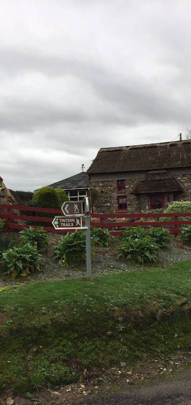 Preview of Tintern Abbey and Bannow Bay Trail 