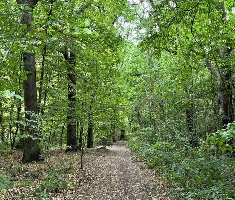 Preview of Green Chain Walk Section 3