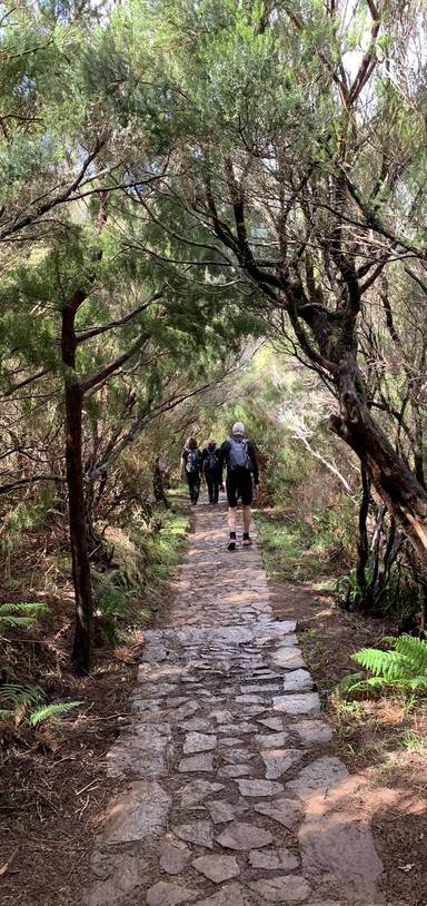 Preview of 25 waterfalls/Risco walk Madeira