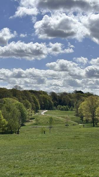 Preview of Rewilded Paths & Open Meadows