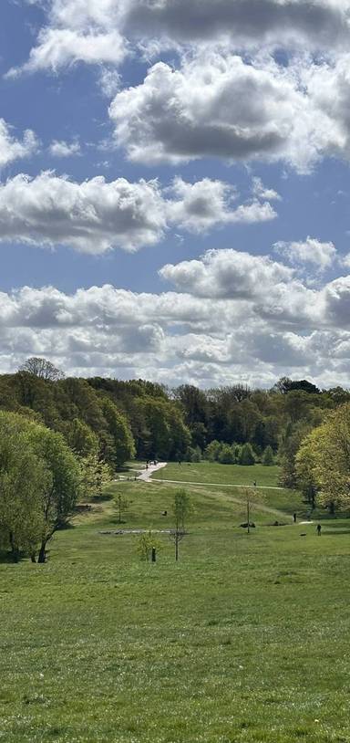 Preview of Rewilded Paths & Open Meadows