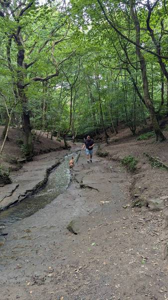 Preview of Plessey Woods Country Park