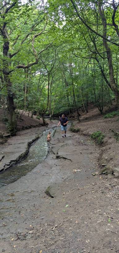 Preview of Plessey Woods Country Park
