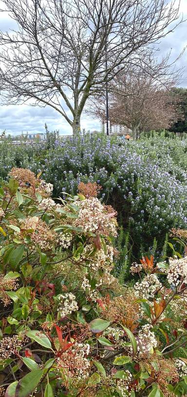 Preview of Waterside Wander in Woolwich	