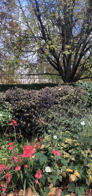 Preview of Mooching in Mayfair