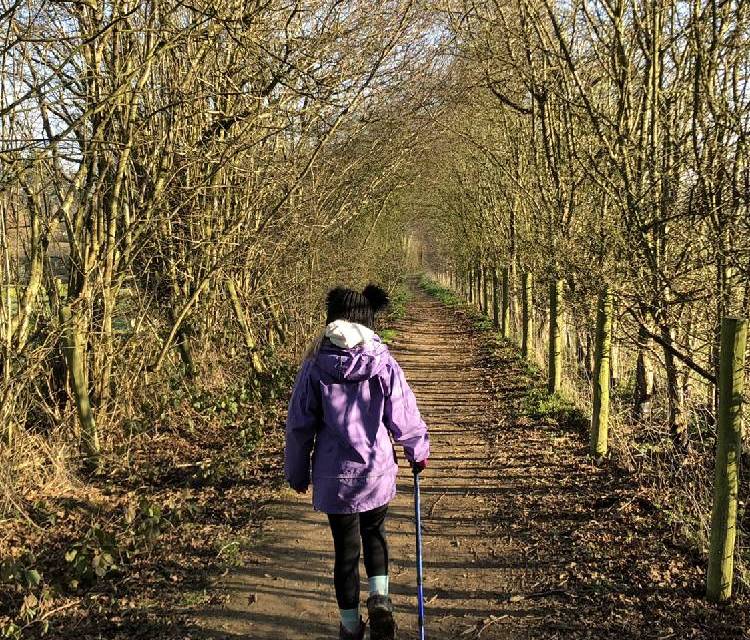 Preview of Ayot St Lawrence circular
