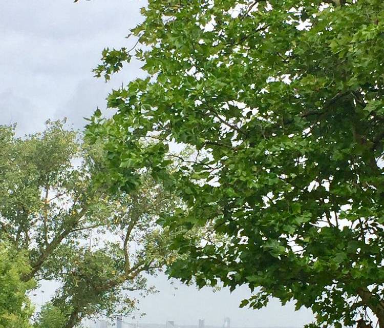 Preview of Brockley 3 Peaks Challenge