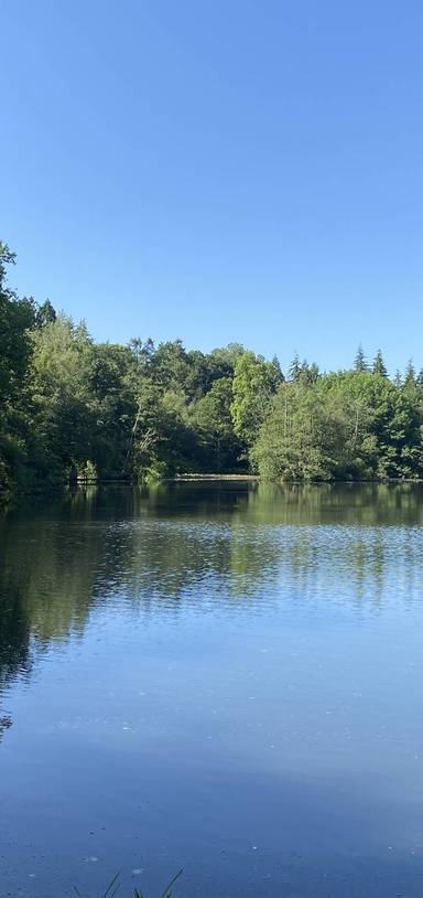 Preview of William Robinson Gravetye Lake