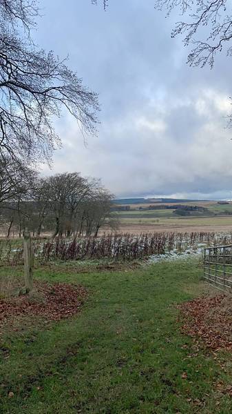 Preview of A quick explore at Loanhead Farm