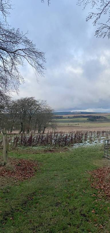 Preview of A quick explore at Loanhead Farm