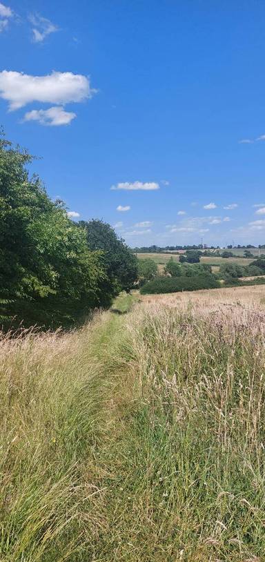 Preview of Hadley Wood Circuit Walk