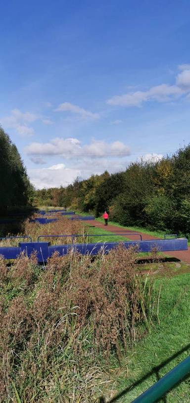 Preview of Ashton's Fields