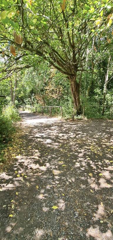 Preview of London Loop Section 2