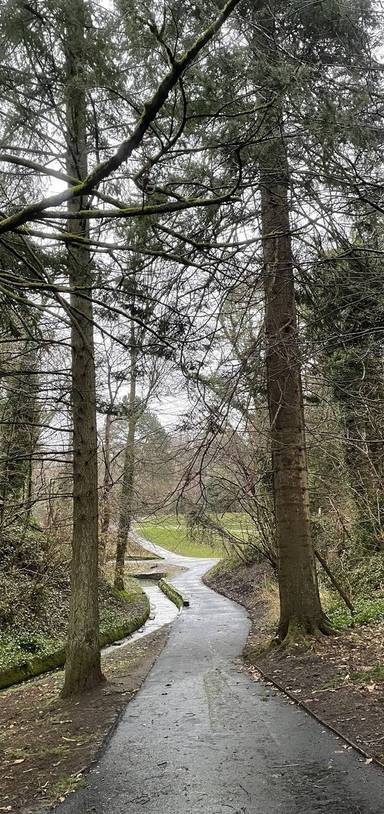 Preview of Cambuslang Urban Park Wander