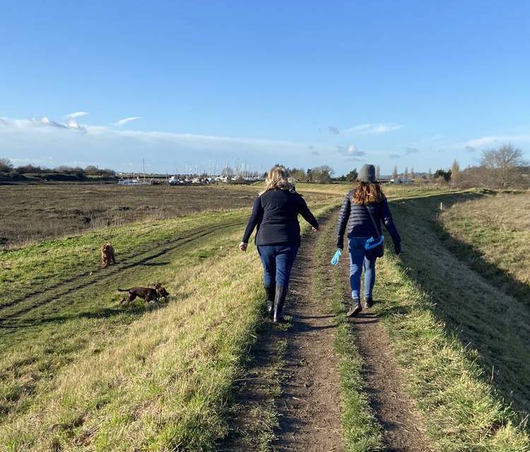 Preview of Thames Estuary Path Section 5