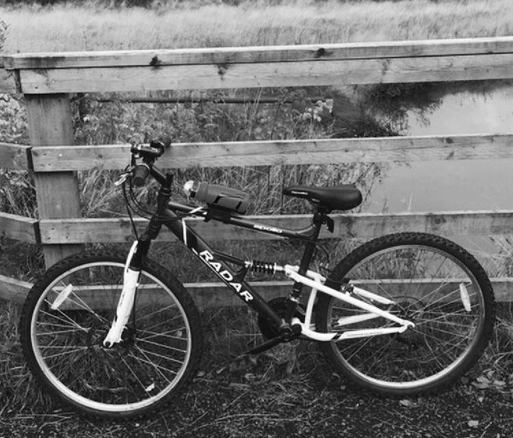 Preview of The Kirkintilloch hills trail