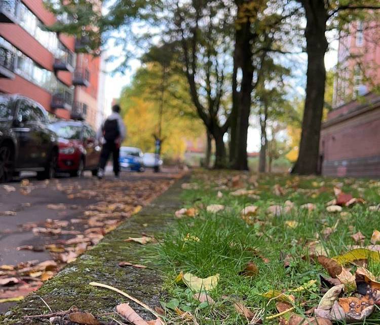 Preview of Walk to Mcr Conference Centre