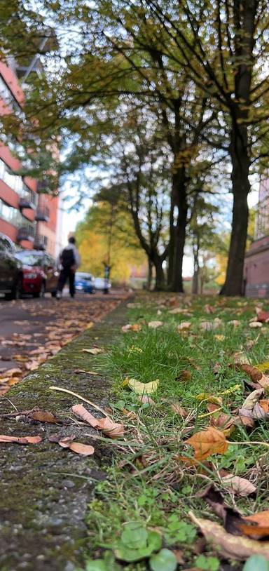 Preview of Walk to Mcr Conference Centre