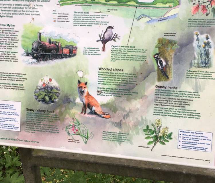 Preview of The Railways of Tewkesbury