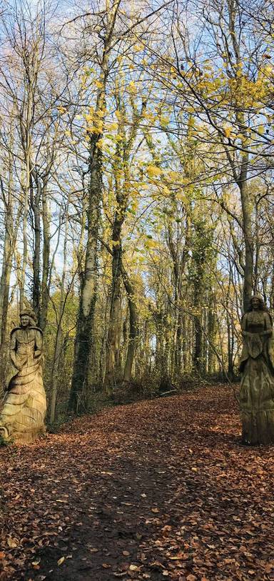 Preview of A Wander in West Wood