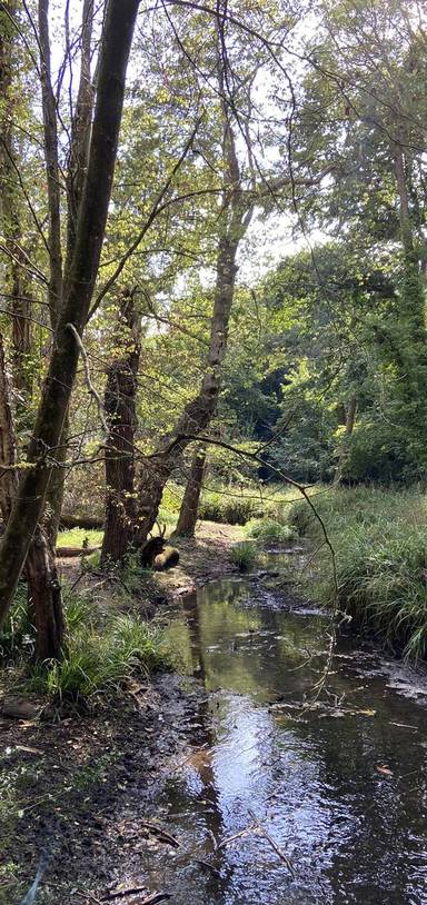 Preview of Weston Shore and Nature Loop