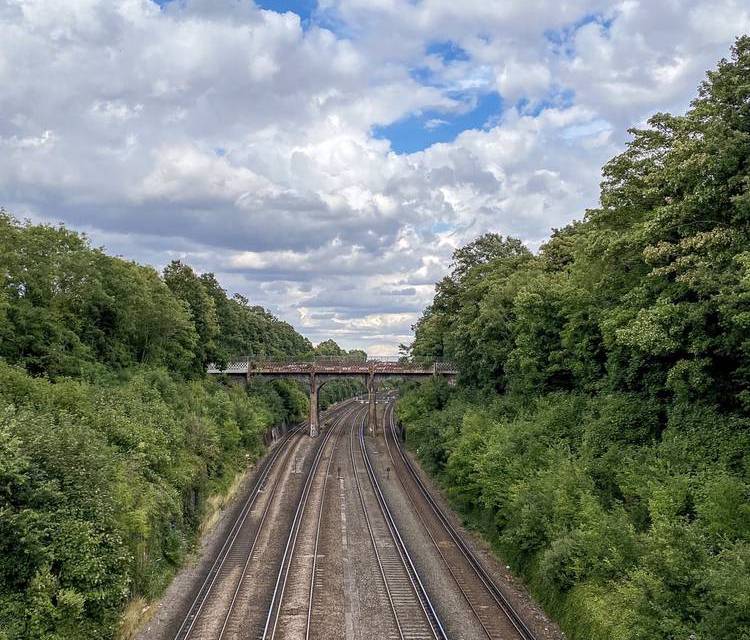 Preview of Surbiton - Thames loop