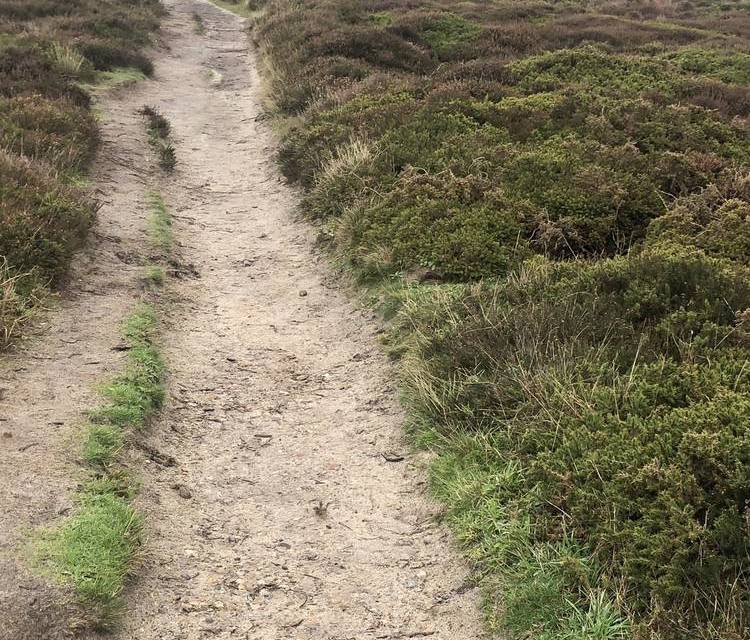 Preview of Winter walk around Dunwich Heath